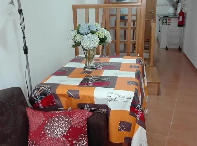 Moradia Machado Topo